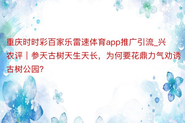 重庆时时彩百家乐雷速体育app推广引流_兴农评｜参天古树天生