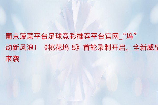 葡京菠菜平台足球竞彩推荐平台官网_“坞” 动新风浪！《桃花坞 5》首轮录制开启，全新威望来袭